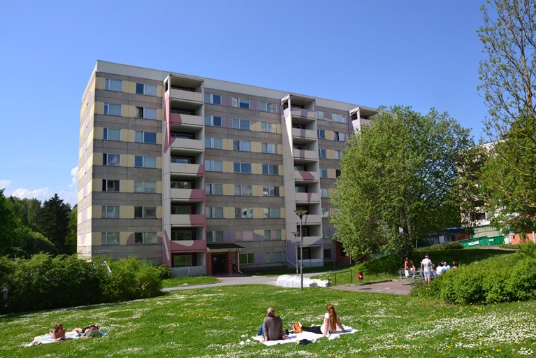 Studenter som solar på innergården